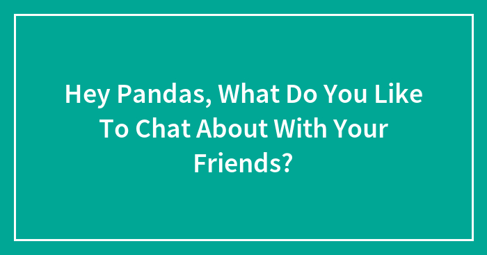 Hey Pandas, What Do You Like To Chat About With Your Friends? (Closed)