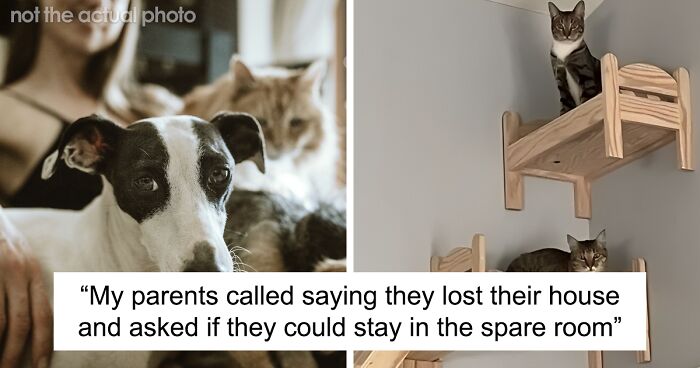 Woman Dedicates A Room In Her House To Her Pets, Refuses To Let Her Homeless Parents Stay There