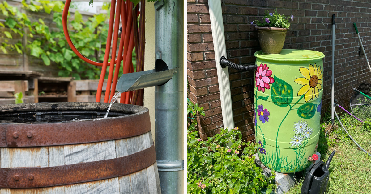 How To Make A DIY Rain Barrel In 8 Simple Steps | Bored Panda