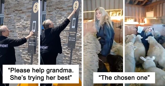 43 Times People Thought It Was Funny To Film Instead Of Helping And Got Shamed Online