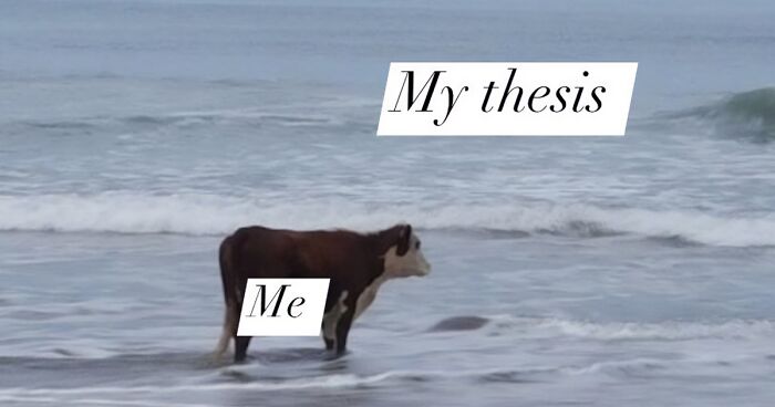 “I Made This One With My Tears”: 30 Memes That Perfectly Summarize What It’s Like To Be In Grad School