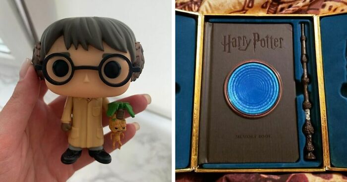 32 Harry Potter Obsessive's Must-Haves To Make Your Muggle Friends Jelly