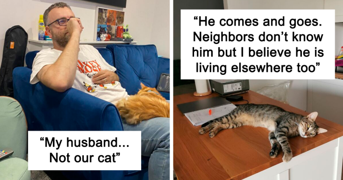 “My House, Not My Cat”: 101 Examples Of The Cat Distribution System In Action (New Pics)