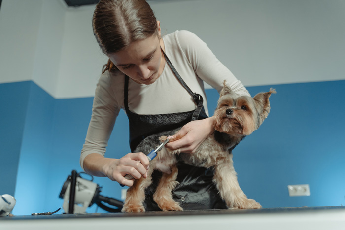 woman trimming nails for the dog