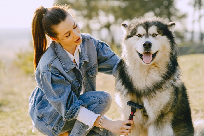 woman brushing the dog