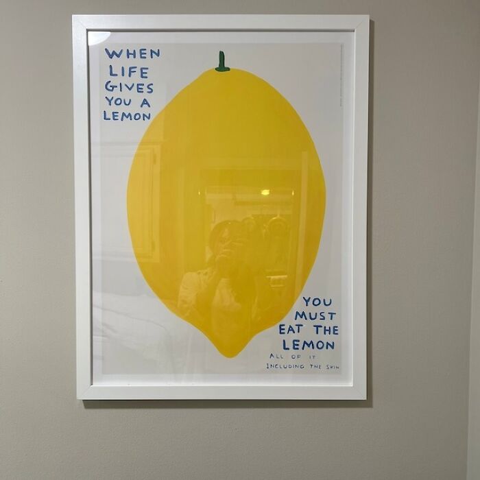 Let This Genuine Slice Of Shrigley’s Wit Turn Sour Moments Sweeter—one Citrusy Chuckle At A Time Because Life's A Lemon And Then You Hang Art.