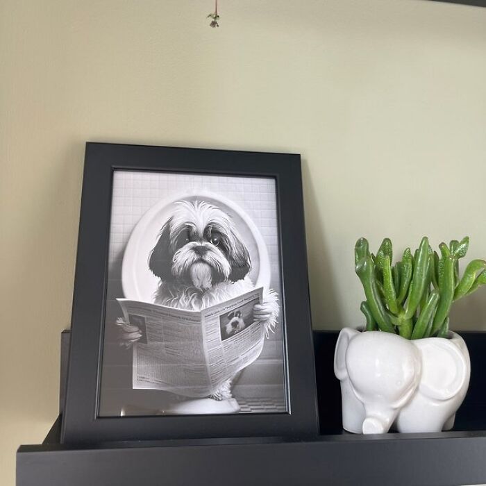 Turn Your Loo Into A Laugh Fest With A Shih Tzu That Clearly Takes Bathroom Time Seriously. It's The Funny Bathroom Wall Art That Has Your Guests Barking Up The Right Tree!