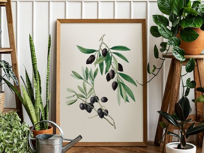 Invite The Serene Sophistication Of This Antique Illustration Into Your Home, Creating A Space That's As Rich In Style As It Is In Olivine Heritage—classic, Cultivated, And Endlessly Chic.