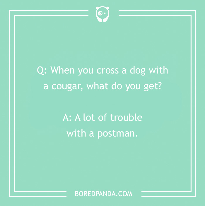 Tons Of Jokes About Dogs To Share With Your Good Boi Or Gal | Bored Panda