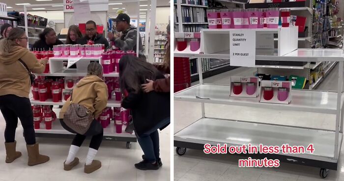 Limited Edition Stanley Cups Are Causing Chaos At Target Stores As They Get Swiped In 4 Minutes