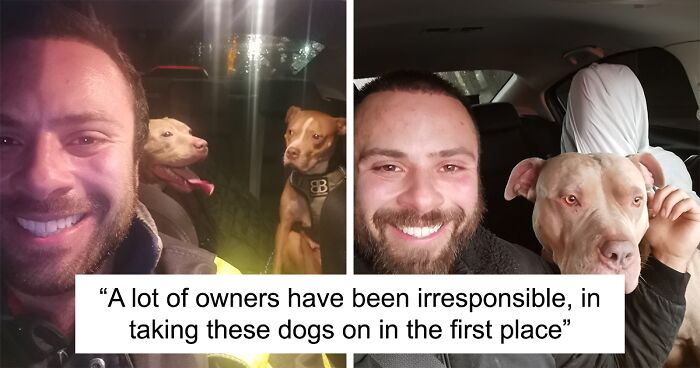 XL Bully Lover Drives Over 200 Miles To Save As Many Dogs As He Can