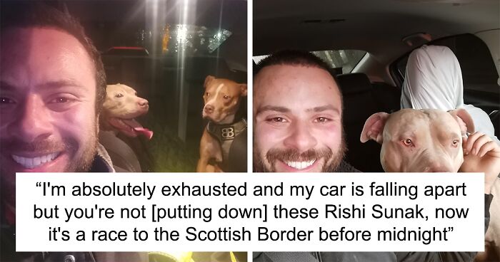  Kind-Hearted Man Saved Over 33 Dogs After XL Bully Dog Ban In England