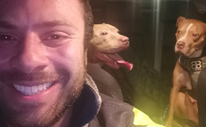 Man Drives Over 200 Miles To Rehome XL Bully Dogs Amidst A New Ban