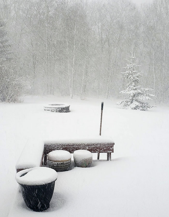 Spring Has Arrived In Alberta, Canada