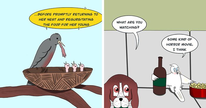 I Make A Comic Series For All The Animal Enthusiasts, And Here Are My 12 Best Works