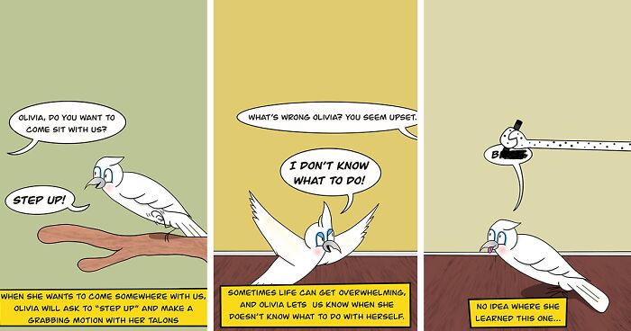 I Create A Series Of Comics Featuring Two Canine Brothers And Their Cockatoo Sister (12 Pics)