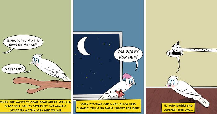 Inspired By My Pets, I Created 12 Comics Depicting Their Mischievous Adventures