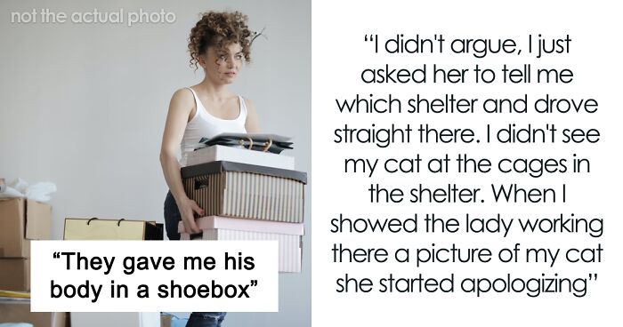 Expecting Mom Won’t Wait For Husband To Finally Move Cat She’s Allergic To And Leaves Him In Shelter