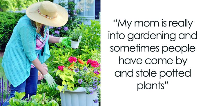 “It Was Rude”: Neighbors Are Mad At Person For Publicly Shaming Their Garden Stealing Habits