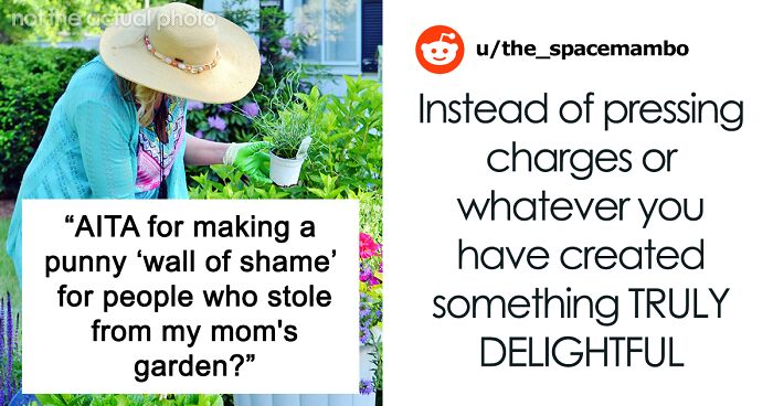 Dashcam Catches Neighbors Stealing From Garden, Their Pics Go On A Punny 'Wall Of Shame'