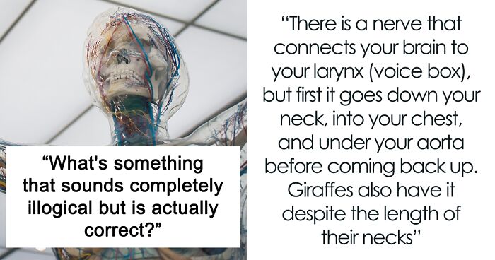 31 Facts That Took People By Surprise When They First Heard Them, As Shared Online