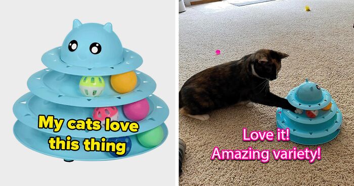 26 Out Of This World Inventions Your Cat Totally Needs in Their Nine Lives