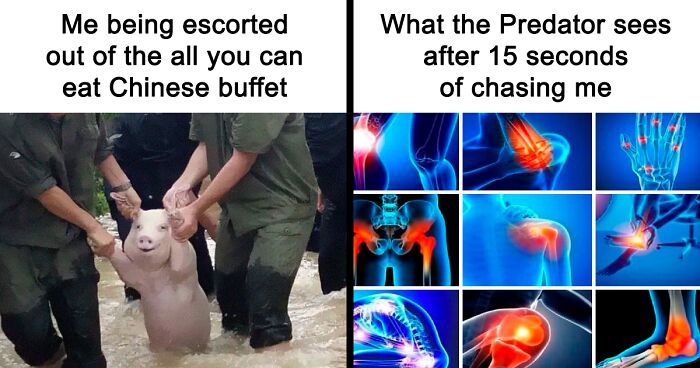 65 Incredibly Random Yet Hilarious Memes From ‘Free To Meme’ To Share With Your Loved Ones