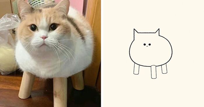 65 Funny Viral Cat Pics Illustrated By This Artist (New Pics)