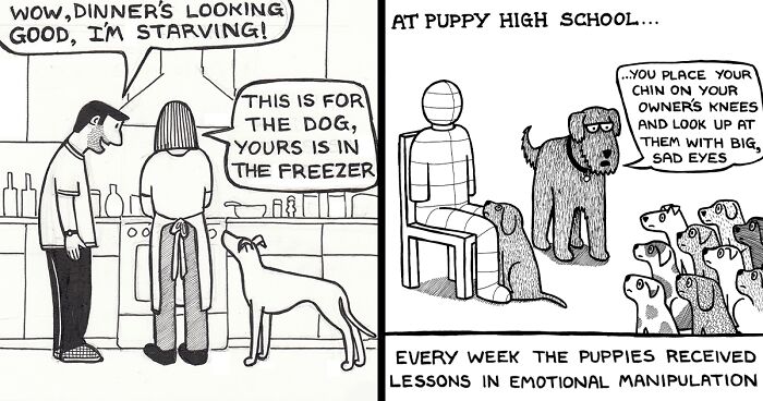 45 Relatable Comics About The Reality Of Owning A Dog From The Series “Off The Leash”