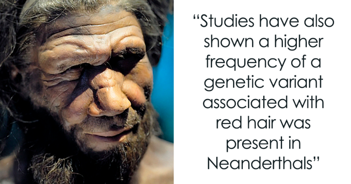 Genetic Engineer Reveals Six Traits That May Mean You Have Neanderthal Genes