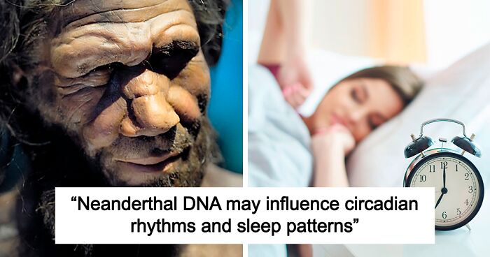 Being An Early Riser And 5 Other Odd Traits That Might Indicate You Have Neanderthal DNA