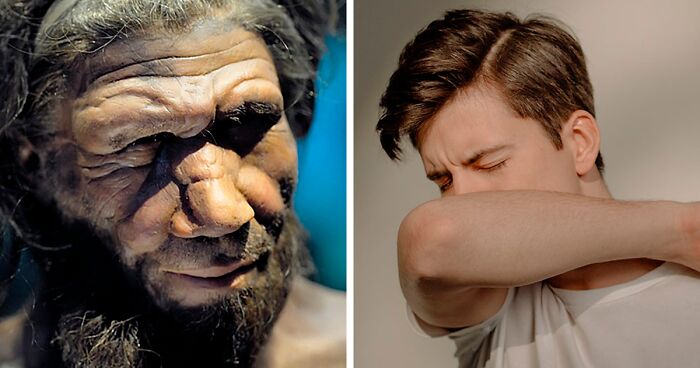 Nicotine Addiction, Thick Hair, And Other Signs You Might Have Neanderthal DNA