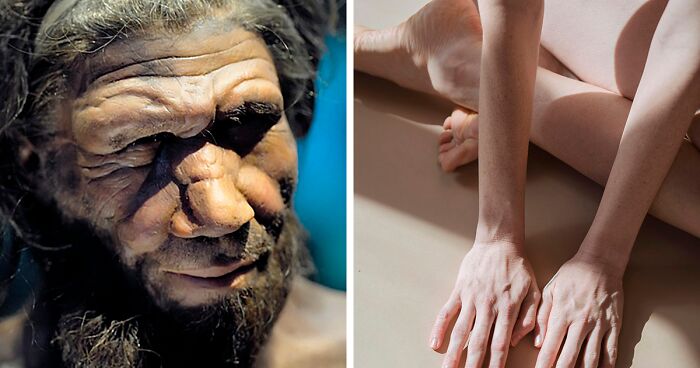 6 Traits That Indicate That You May Have Neanderthal DNA