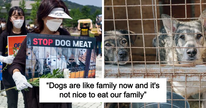 South Korea “Closes Miserable Chapter” Of Dog Meat Trade After Passing New Ban