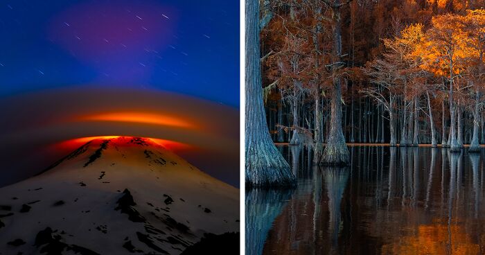 20 Exceptional Nature Photographs Crowned Winners At Tokyo International Foto Awards 2023