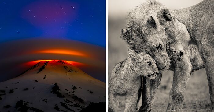 Top 20 Captivating Nature Shots As Selected By Tokyo International Foto Awards 2023