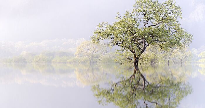 20 Winning Images In Nature Category Of Tokyo International Foto Awards 2023