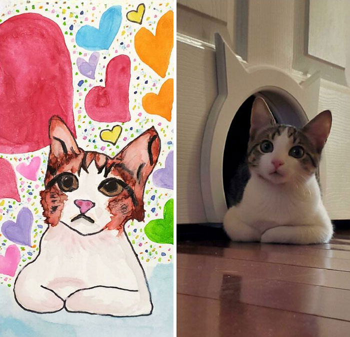 My Mom Painted My Kitten For Valentine&rsquo;s Day