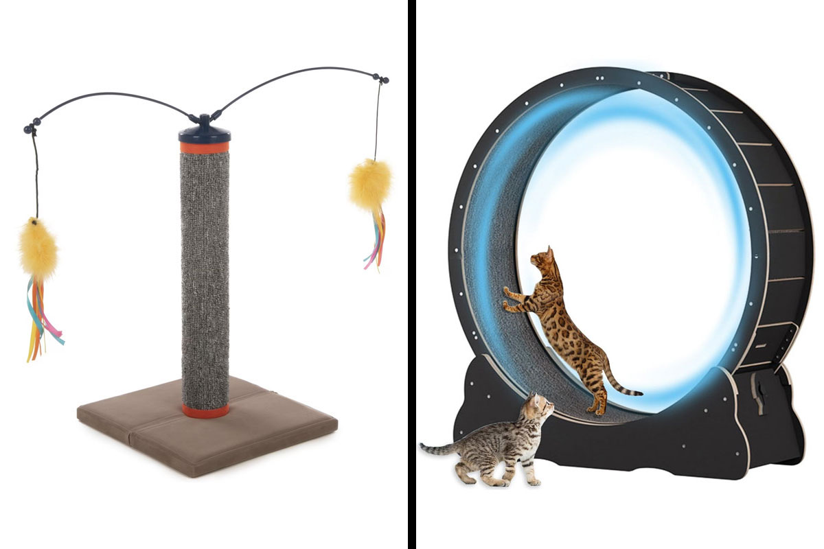 15 Best Cat Toys For Your Feline Friend, Reviewed By An Expert 