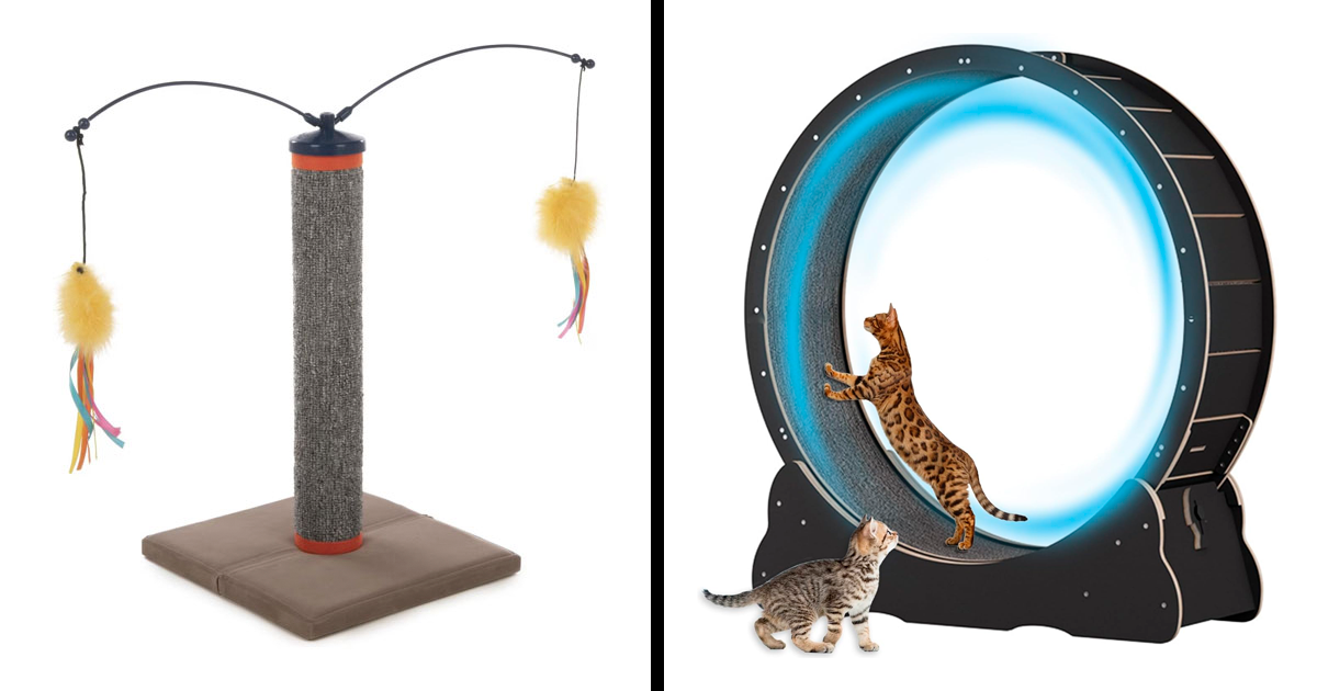 15 Best Cat Toys For Your Feline Friend, Reviewed By An Expert | Bored ...