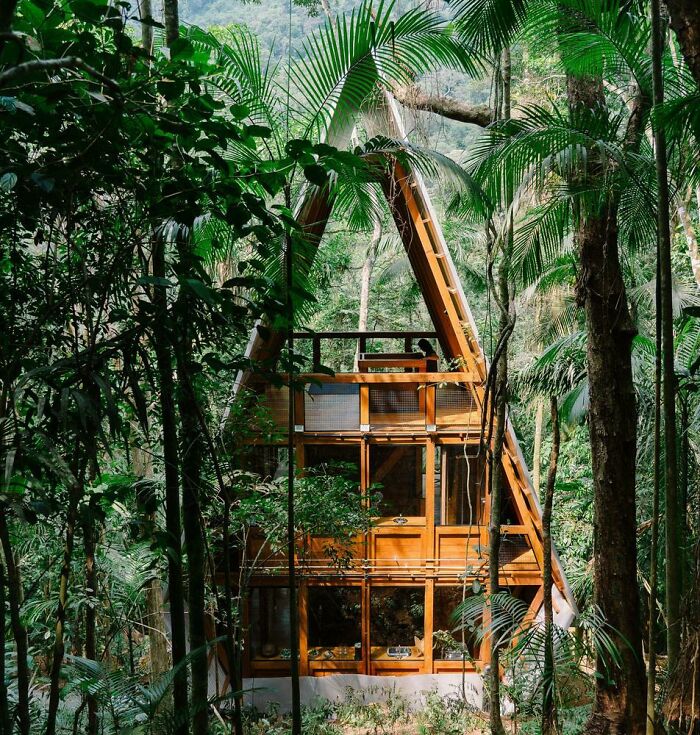 Monkey House By Atelier Marko Brajovic [952 X 1000] Brazil