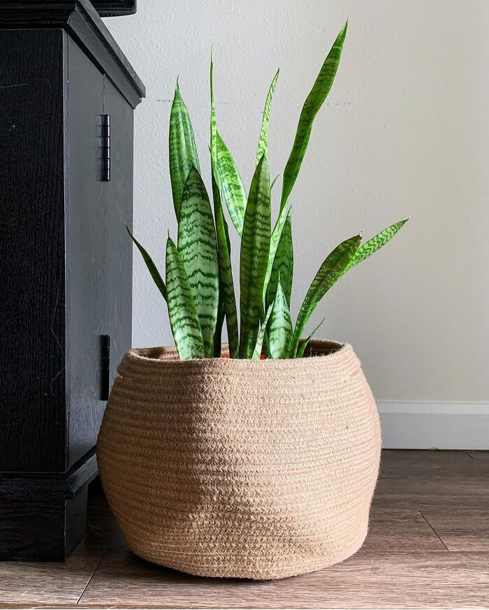 Stash In Style: Chic Round Cotton Rope & Jute Baskets For Every Nook!