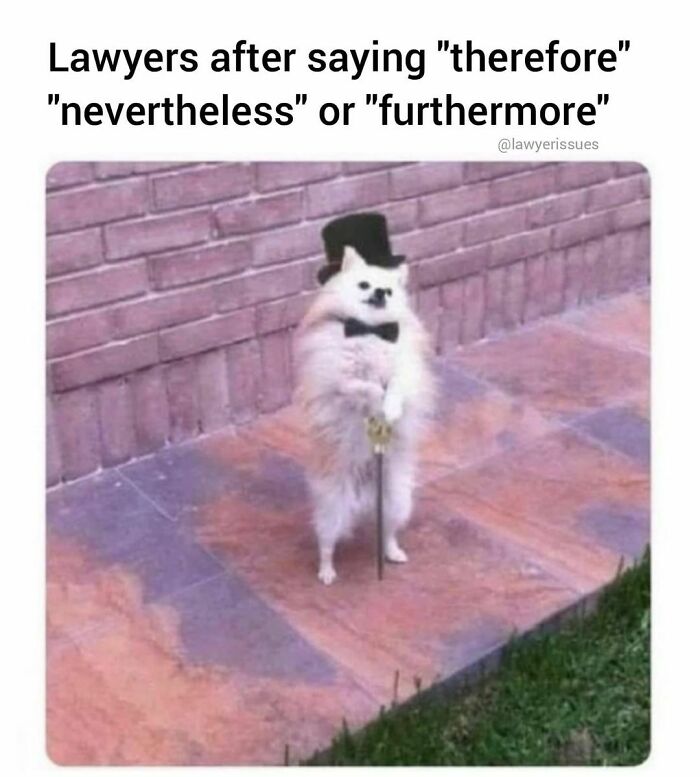 Funny-Lawyer-Memes