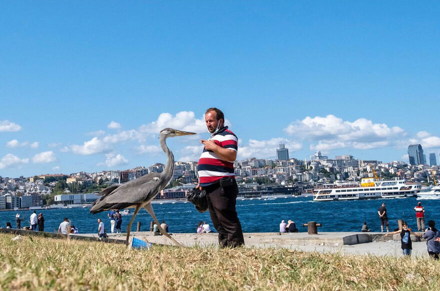 Photographer Serkan Tekin Captures Incredible Coincidences Of Everyday Life On The Streets