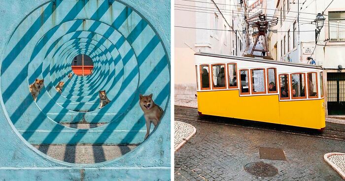 80 Real-Life Locations And Moments That Belong In A Wes Anderson Movie (New Pics)