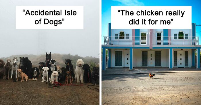 “Accidental Wes Anderson”: 80 Real-Life Locations That Reminded People Of The Famous Director (New Pics)