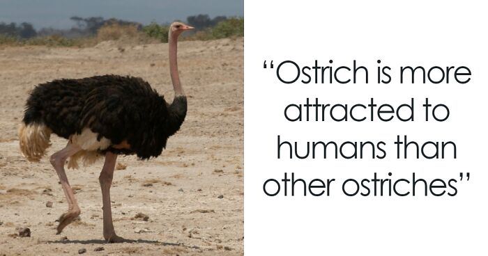 People Share 36 Interesting Animal Facts Not Too Many Of Us Are Familiar With