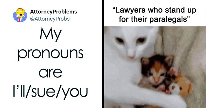 This IG Page Shares The Best Law Career Memes, And Here Are 79 Of Them