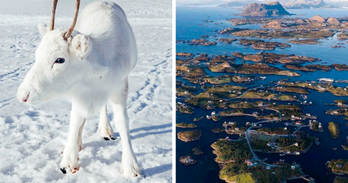 30 Captivating Photos Of Norway That Perfectly Illustrate Why This Country Is So Unique