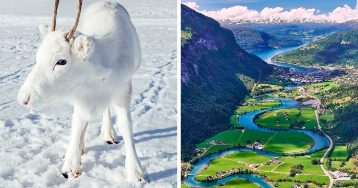 These 56 Photos Of Life In Norway Might Make You Want To Pack Your Bags And Move